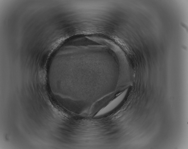 X0000091290540200708241031