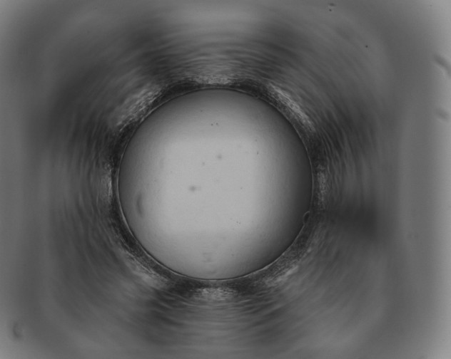 X0000091290541200708241031