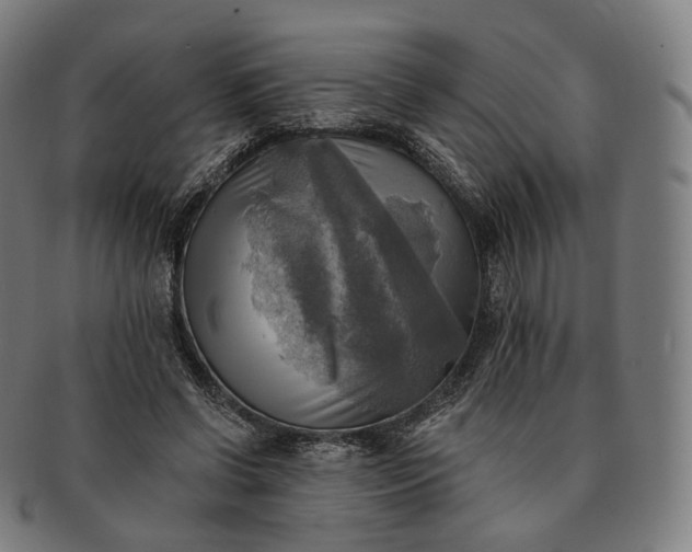 X0000091290542200708241031