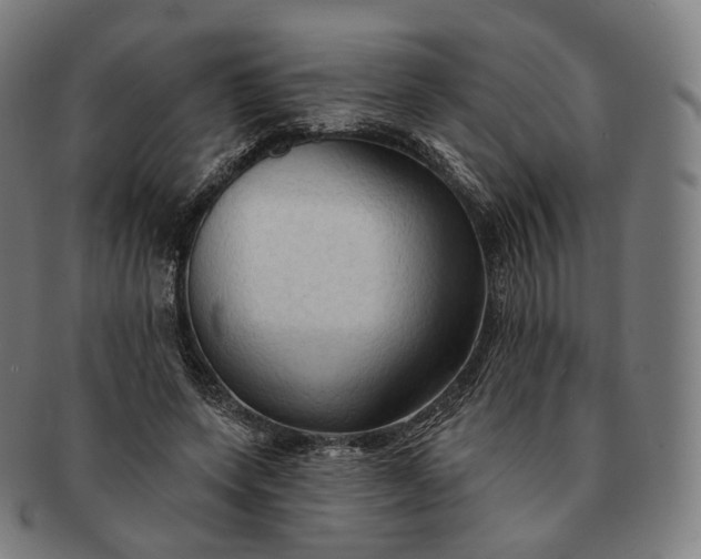 X0000091290543200708241031