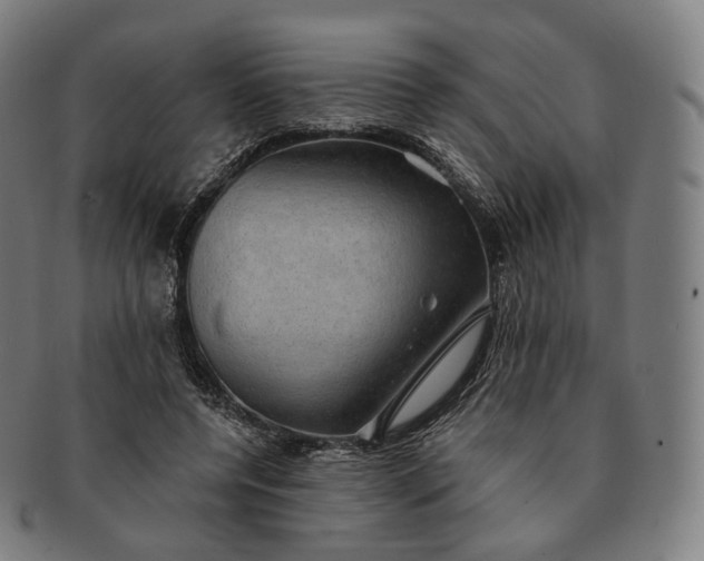 X0000091290544200708241031