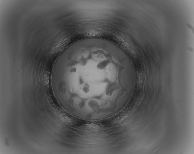 X0000091290545200708241031