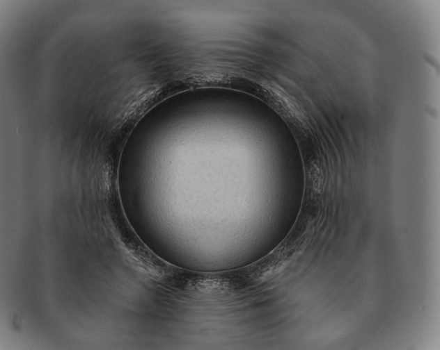 X0000091290546200708241031