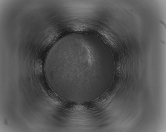 X0000091290547200708241031