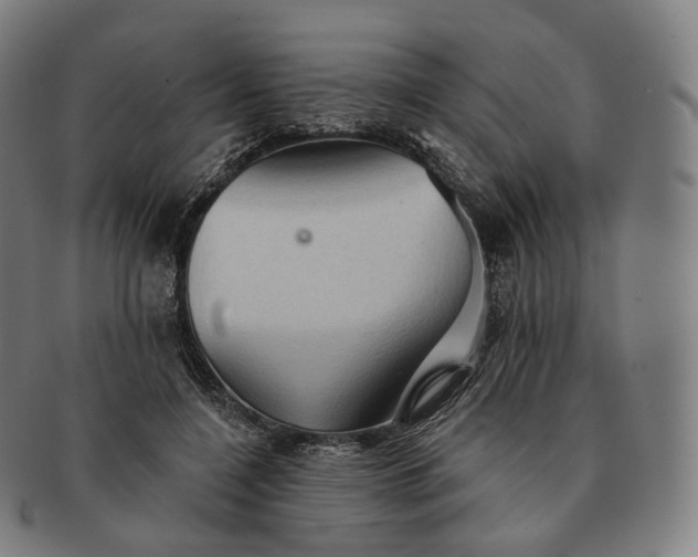 X0000091290548200708241031