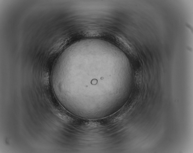 X0000091290549200708241031