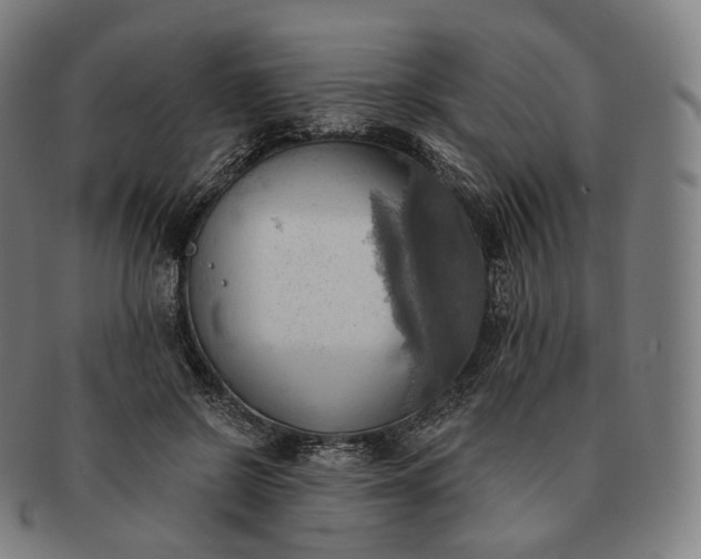 X0000091290550200708241031