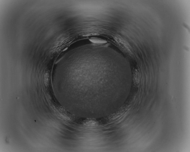 X0000091290551200708241031