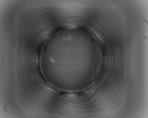 X0000091290553200708241031