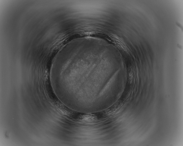 X0000091290555200708241031