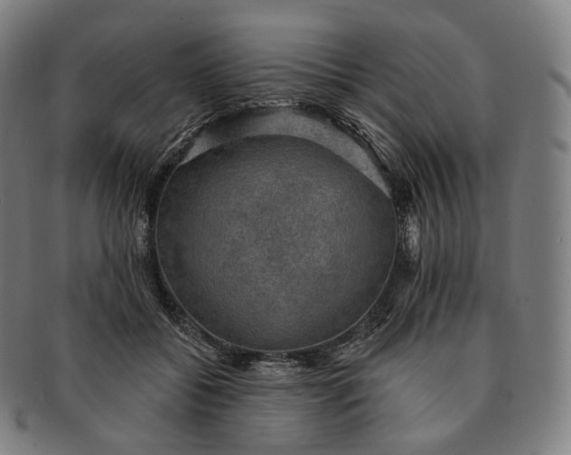 X0000091290556200708241031