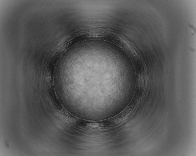 X0000091290557200708241031