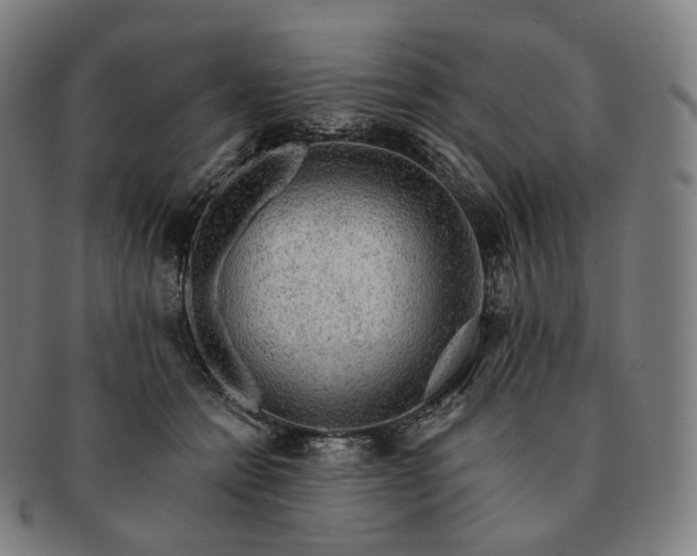 X0000091290558200708241031