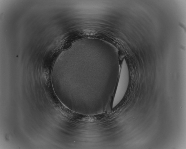 X0000091290559200708241031