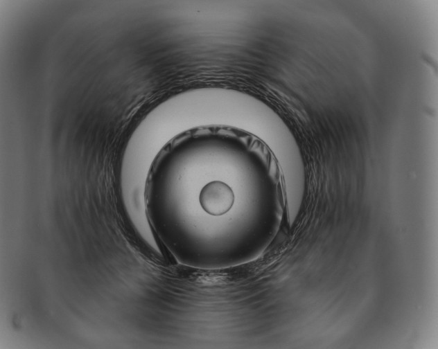 X0000091290560200708241031