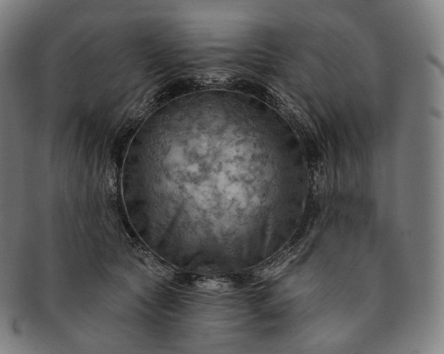 X0000091290561200708241031