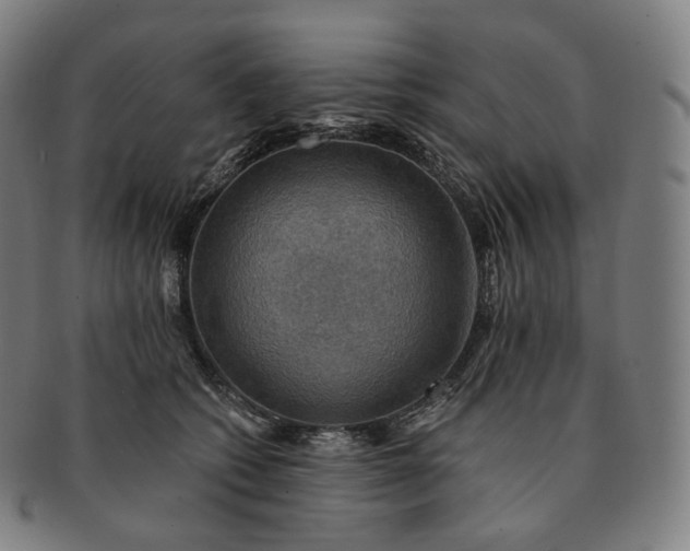 X0000091290562200708241031