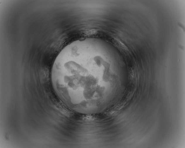 X0000091290565200708241031