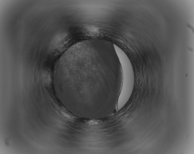 X0000091290566200708241031