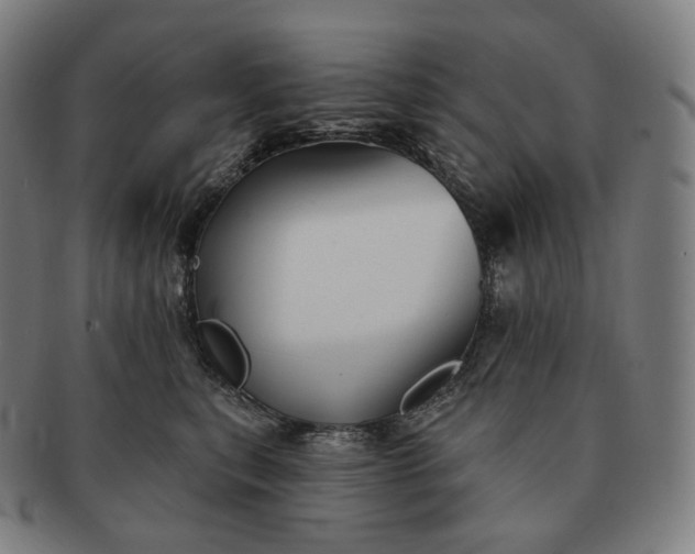 X0000091290567200708241031