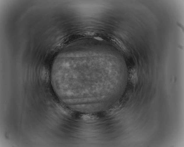 X0000091290568200708241031