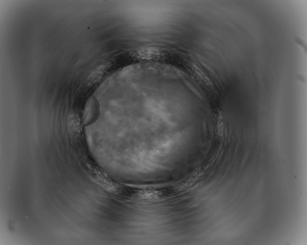 X0000091290569200708241031