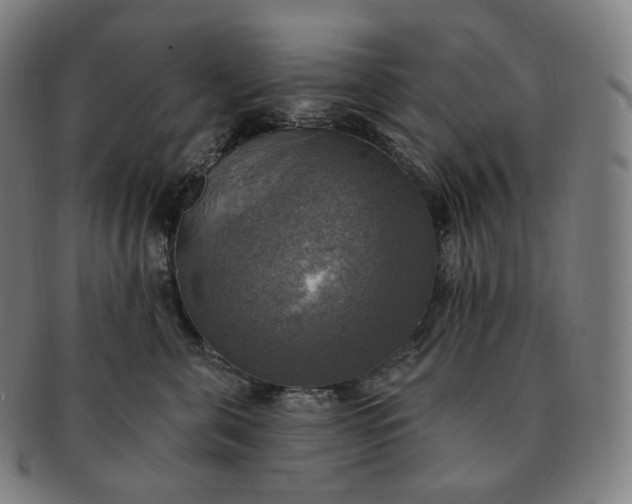 X0000091290571200708241031