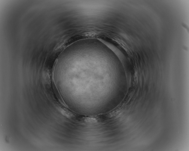 X0000091290572200708241031