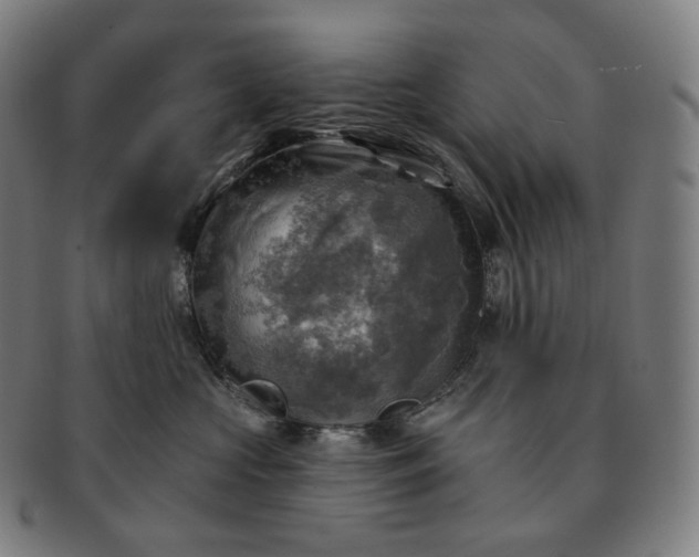 X0000091290573200708241031