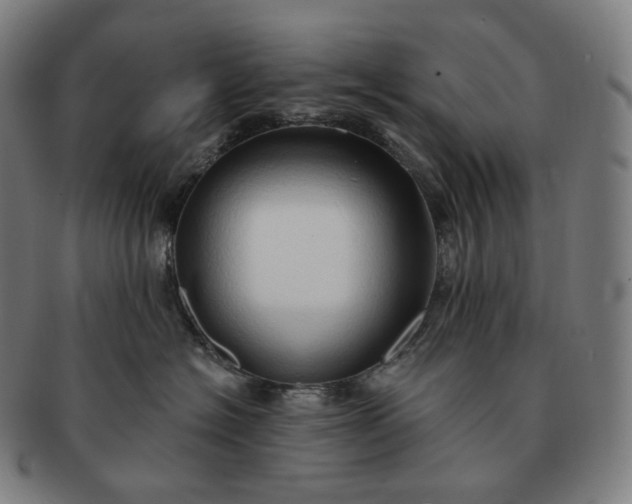 X0000091290574200708241031