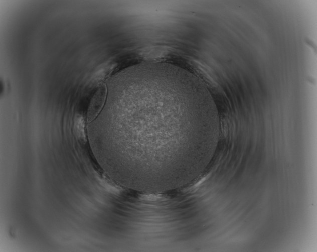 X0000091290575200708241031