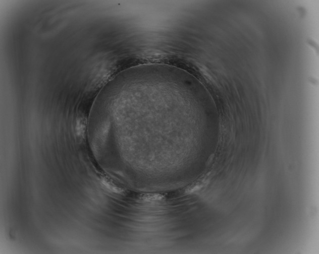 X0000091290576200708241031