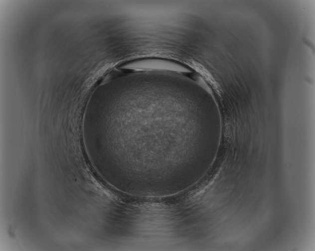 X0000091290577200708241031