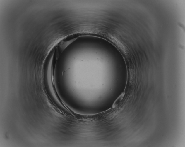 X0000091290580200708241031