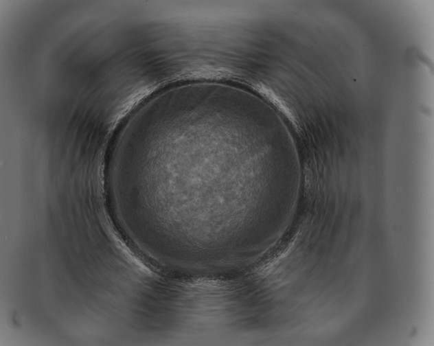 X0000091290581200708241031