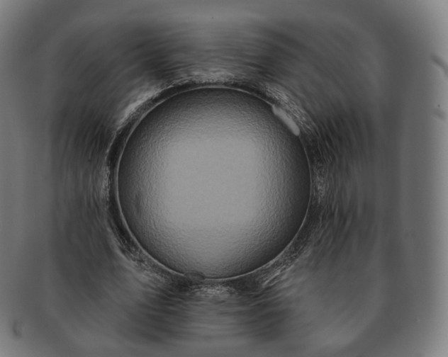 X0000091290583200708241031