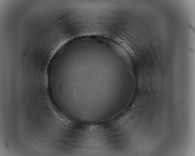 X0000091290584200708241031