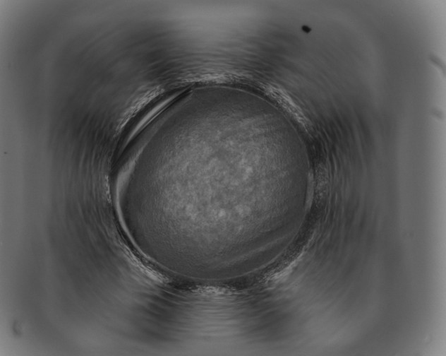 X0000091290585200708241031