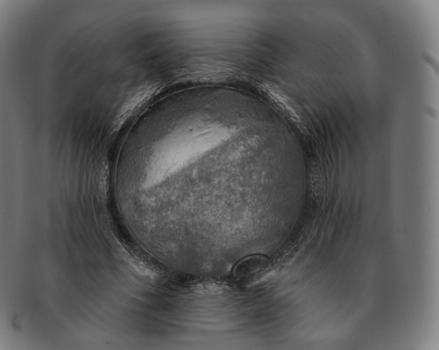 X0000091290586200708241031