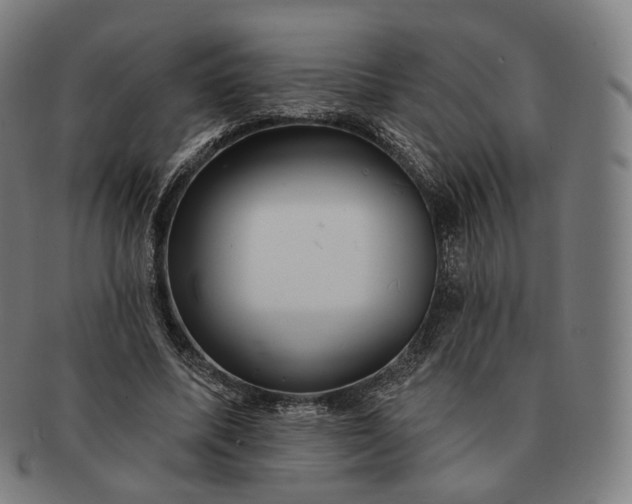 X0000091290587200708241031