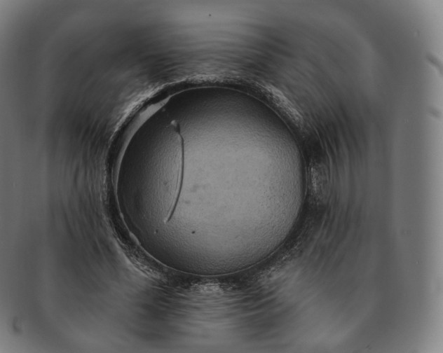 X0000091290588200708241031