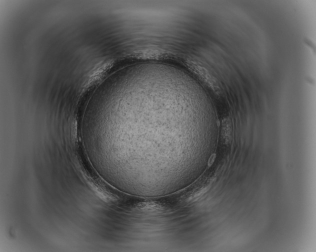 X0000091290589200708241031