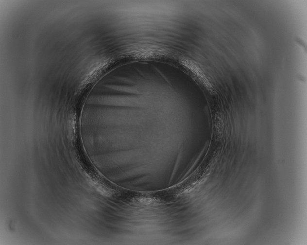 X0000091290590200708241031