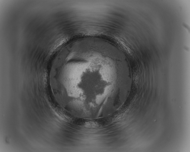 X0000091290591200708241031