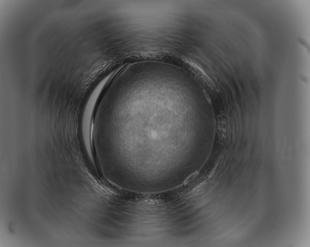 X0000091290593200708241031