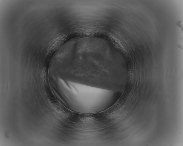 X0000091290594200708241031