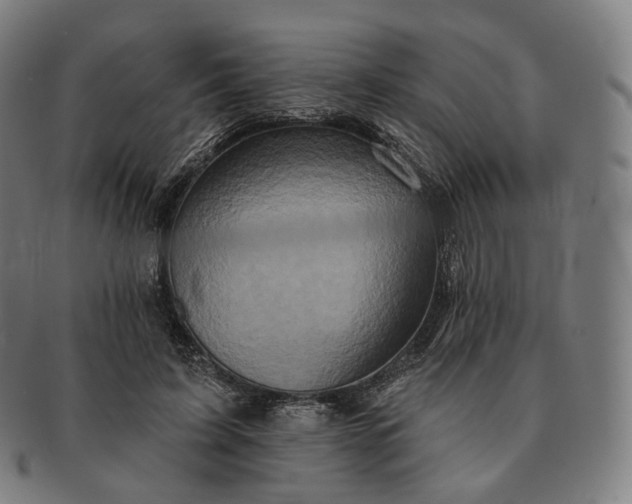 X0000091290595200708241031