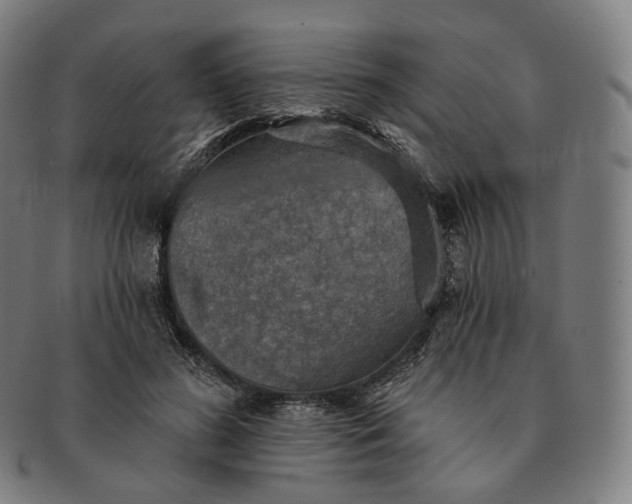 X0000091290596200708241031