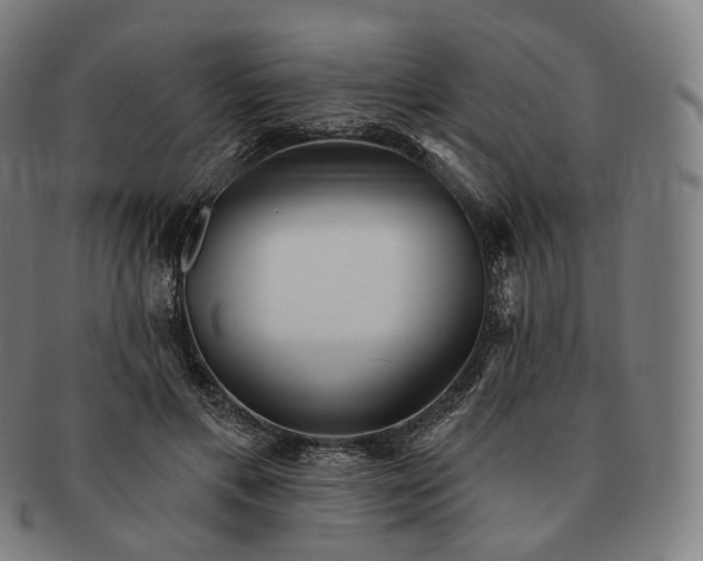 X0000091290597200708241031