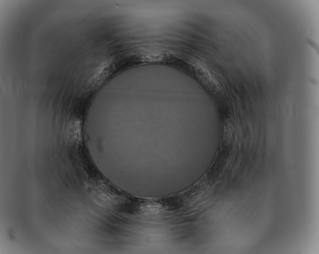 X0000091290598200708241031